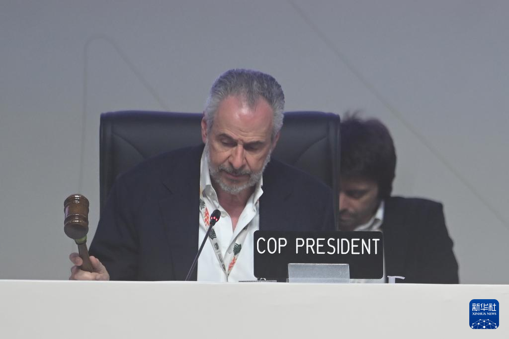 COP30 approves document calling for global mobilization against climate change