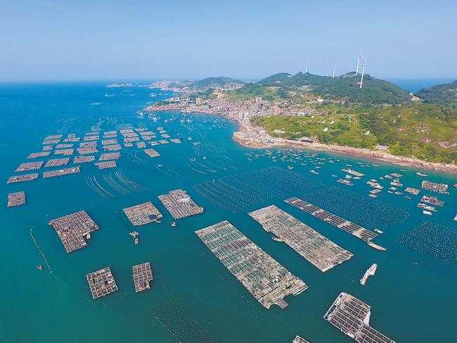 渔业养殖也有“绿色收入”！全国首宗海洋渔业碳汇交易落户福州连江