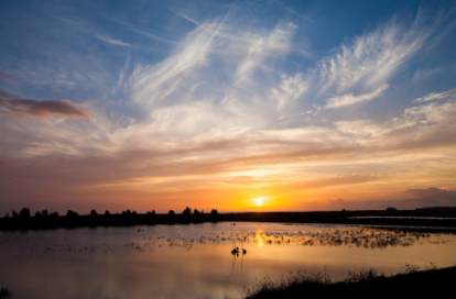 福建的，中国的，世界的！闽江河口湿地入选国际重要湿地名录