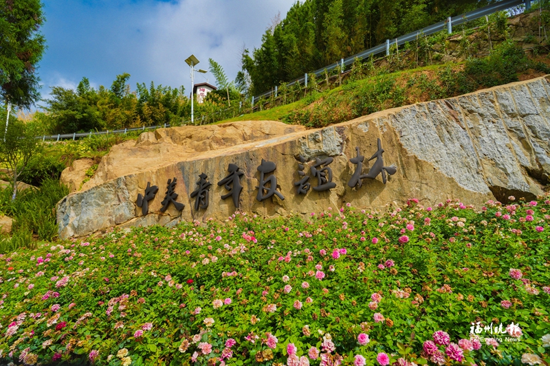 鼓岭29500平方米新地标来了！中美青年友谊林即将迎客