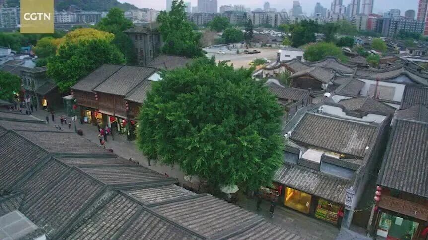 福州为什么被誉为＂榕城＂？