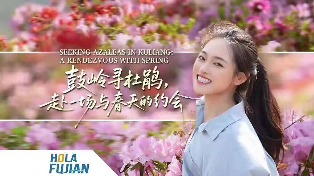 鼓岭寻杜鹃，赴一场与春天的约会